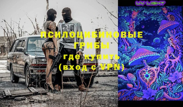 СК Горнозаводск
