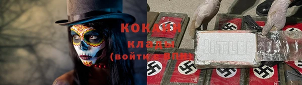 молекула духа Горно-Алтайск