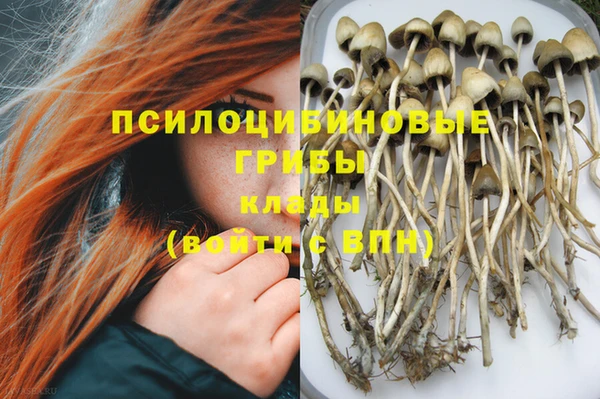 молекула духа Горно-Алтайск