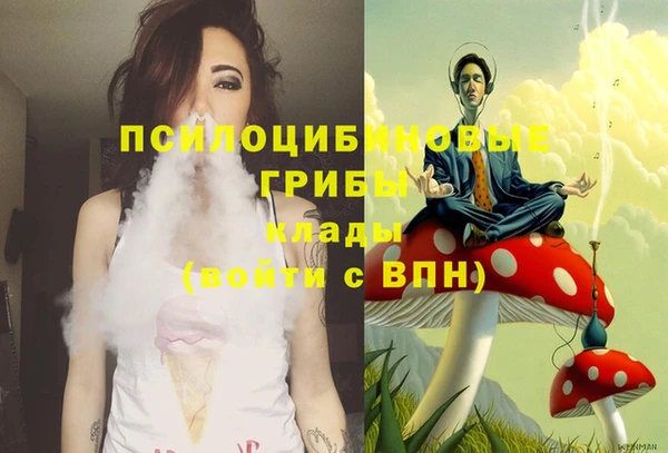 молекула духа Горно-Алтайск