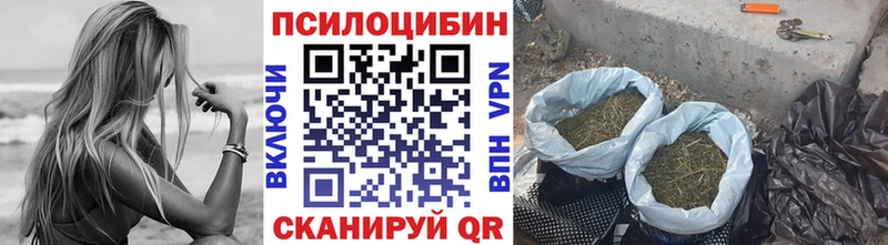 Галлюциногенные грибы ЛСД  Купить закладки  Куртамыш 